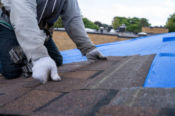 Best Roof Repair Services  in Highland Falls, NY